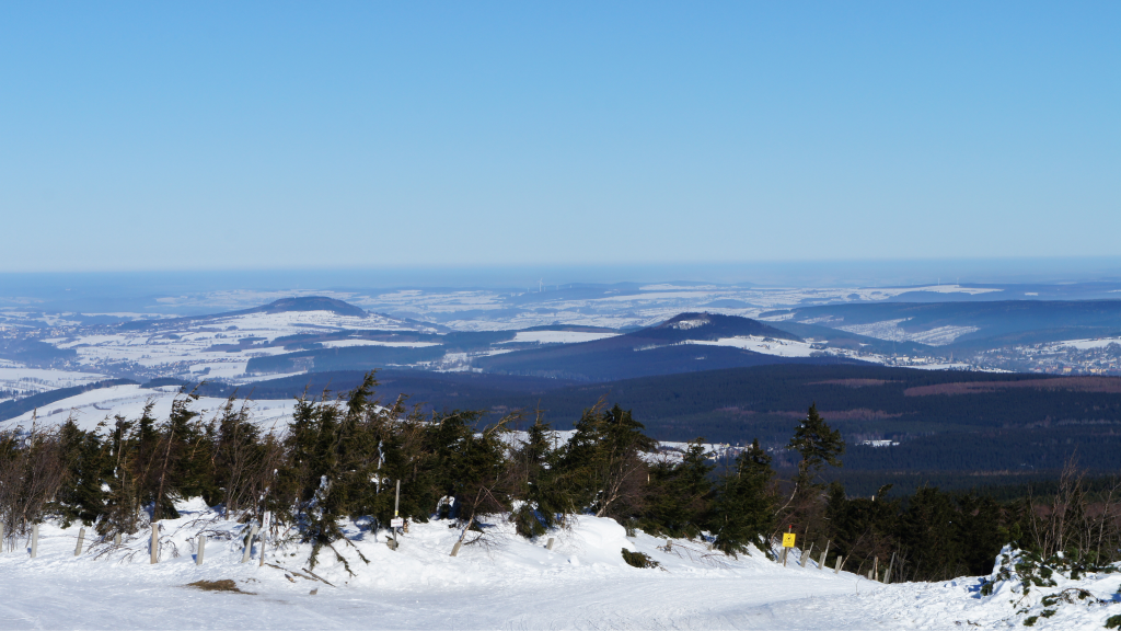 design ohne titel (67)